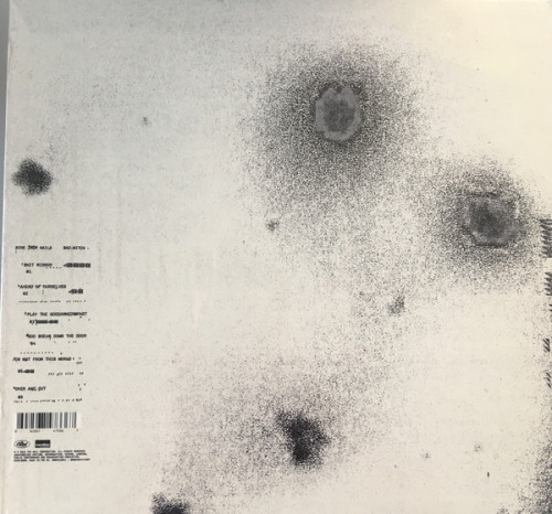 Виниловая пластинка Nine Inch Nails, Bad Witch