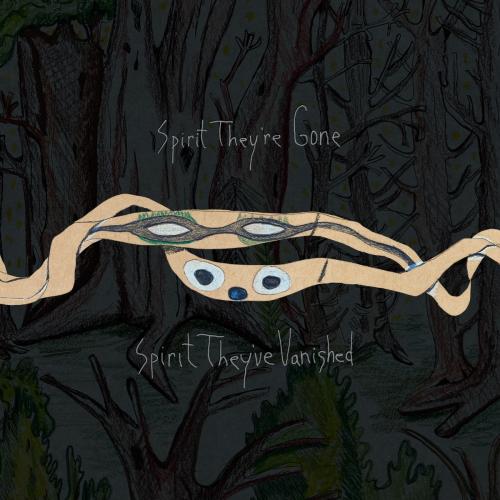 Виниловая пластинка Animal Collective -  Spirit They're Gone, Spirit They've Vanished (2023 Remaster
