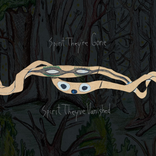 Виниловая пластинка Animal Collective -  Spirit They're Gone, Spirit They've Vanished (2023 Remaster