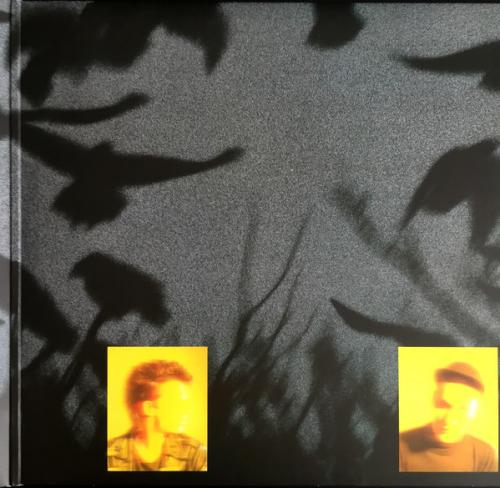 Виниловая пластинка Indochine, 7000 Danses (180 Gram/Remastered)