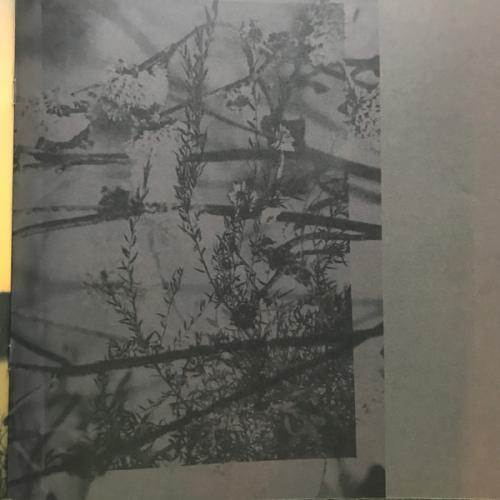 Виниловая пластинка Bon Iver - I,I (Black Vinyl LP)