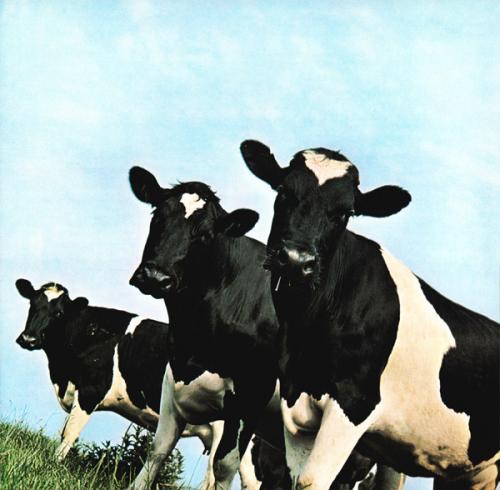 Виниловая пластинка Pink Floyd - Atom Heart Mother (Black Vinyl LP)