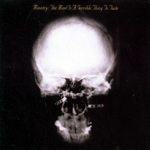 Виниловая пластинка Ministry - Mind Is A Terrible Thing To Taste (Black Vinyl 2LP)