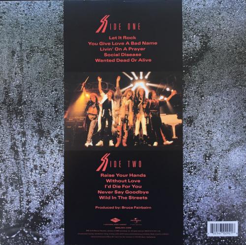 Виниловая пластинка Bon Jovi, Slippery When Wet (Remastered 2014)