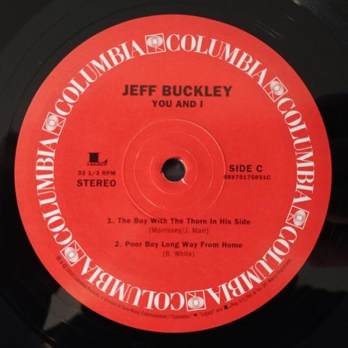 Виниловая пластинка Sony Jeff  Buckley You & I (180 Gram/Gatefold)