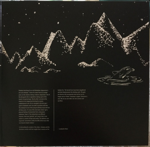 Виниловая пластинка Shabaka Hutchings - Wisdom Of Elders (Black Vinyl 2LP)