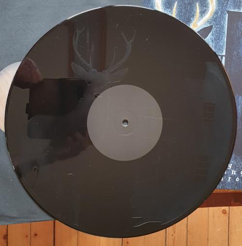 Виниловая пластинка Pattern-Seeking Animals - Only Passing Through (180 Gram Black Vinyl 2LP+CD)