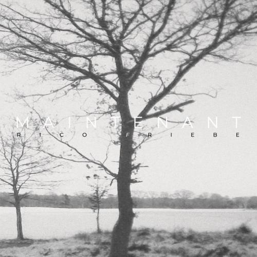 Виниловая пластинка Rico Friebe - Maintenant (Black Vinyl LP)