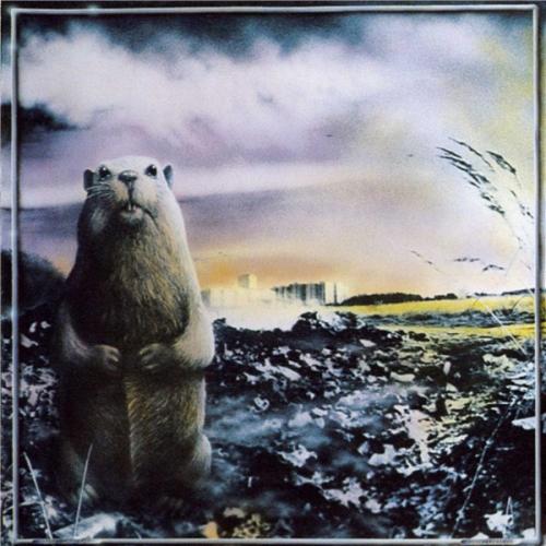 Виниловая пластинка Неприкасаемые - Брел, брел, брел (Black Vinyl 2LP)