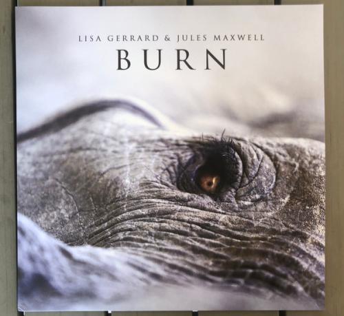 Виниловая пластинка Gerrard, Lisa; Maxwell, Jules - Burn (Coloured Vinyl LP)
