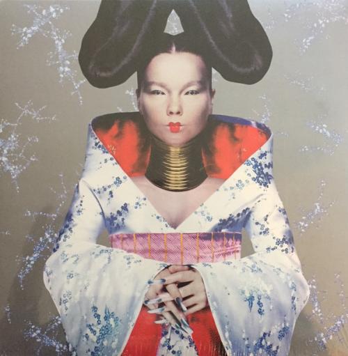 Виниловая пластинка Bjork, Homogenic