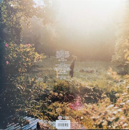 Виниловая пластинка The National - The National (Black Vinyl LP)