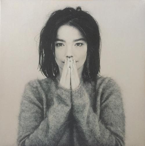 Виниловая пластинка Bjork, Debut