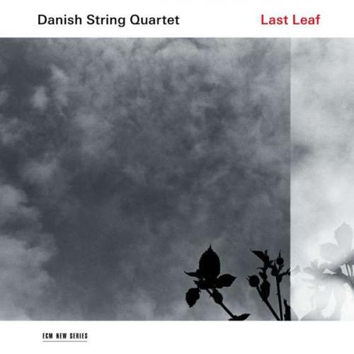 Виниловая пластинка Danish String Quartet, Last Leaf (LP/180g)