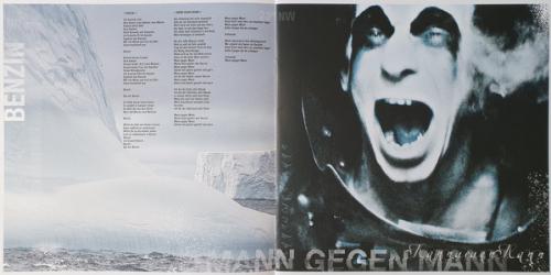 Виниловая пластинка Rammstein, Rosenrot