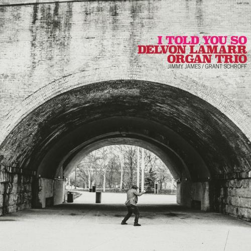 Виниловая пластинка Delvon Lamarr - I Told You So (Black Vinyl LP)