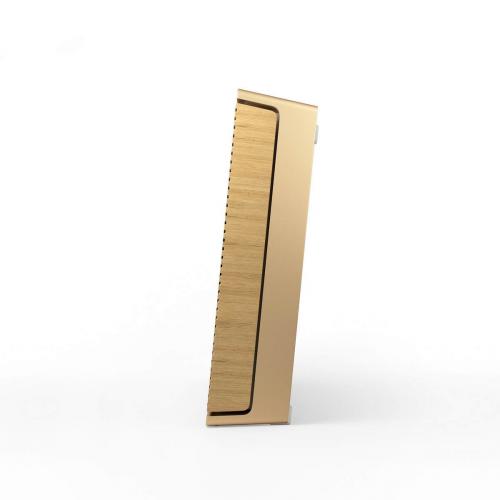Портативная Wi-Fi колонка Bang & Olufsen Beosound Level Gold Tone/Light Oak