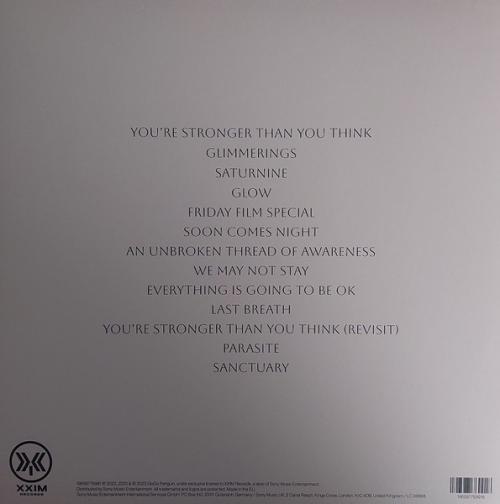 Виниловая пластинка GOGO PENGUIN - Everything Is Going To Be Ok (Deluxe) (Clear 2 LP)