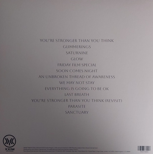 Виниловая пластинка GOGO PENGUIN - Everything Is Going To Be Ok (Deluxe) (Clear 2 LP)