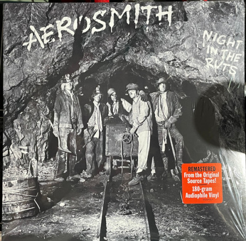 Виниловая пластинка Aerosmith - Night In The Ruts (Black Vinyl LP)