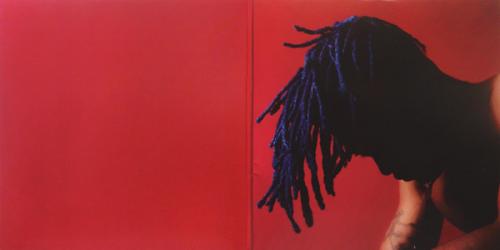 Виниловая пластинка XXXTENTACION, ?