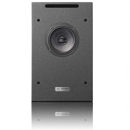 Встраиваемая акустическая система Ascendo CCM 6P Wedge