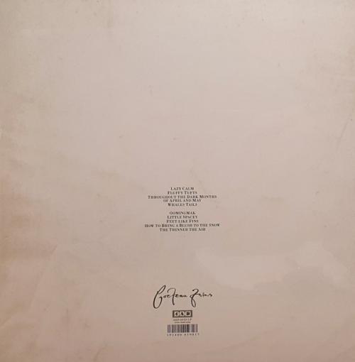 Виниловая пластинка Cocteau Twins — VICTORIALAND (LP)