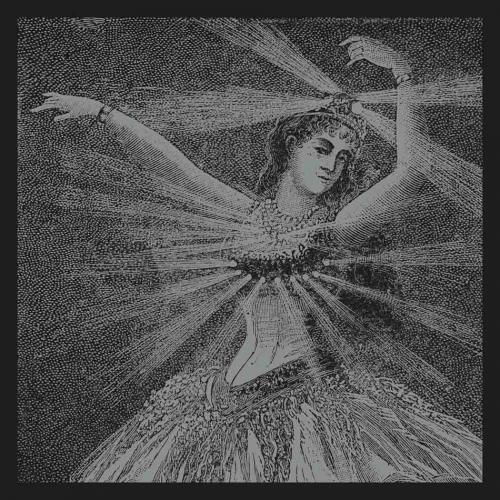 Виниловая пластинка Neutral Milk Hotel - The Collected Works (Box) (Black Vinyl 9LP)