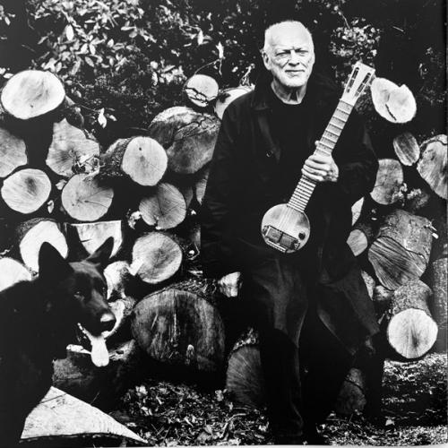 Виниловая пластинка David Gilmour - Luck And Strange (Translucent Sea Blue LP)