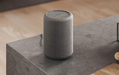 Портативная колонка Audio Pro A10 MkII W Dark Grey