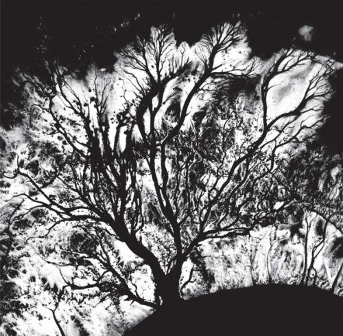 Виниловая пластинка Dead Can Dance - The Serpent's Egg (180 Gram Black Vinyl LP)
