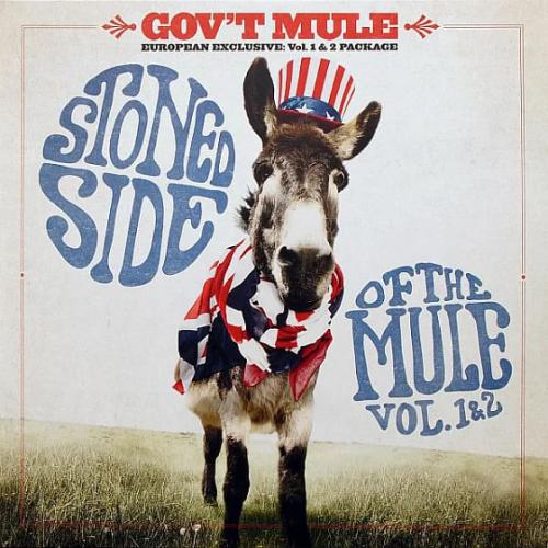 Виниловая пластинка Gov't Mule - Stoned Side Of The Mule (Blue & Red Vinyl 2LP)