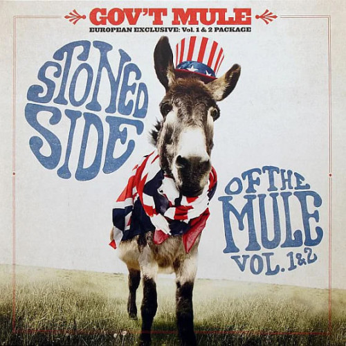 Виниловая пластинка Gov't Mule - Stoned Side Of The Mule (Blue & Red Vinyl 2LP)