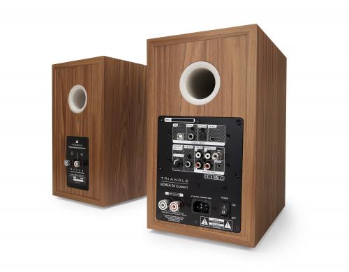 Полочная акустика Triangle BOREA BR02 Connect Oak Sand