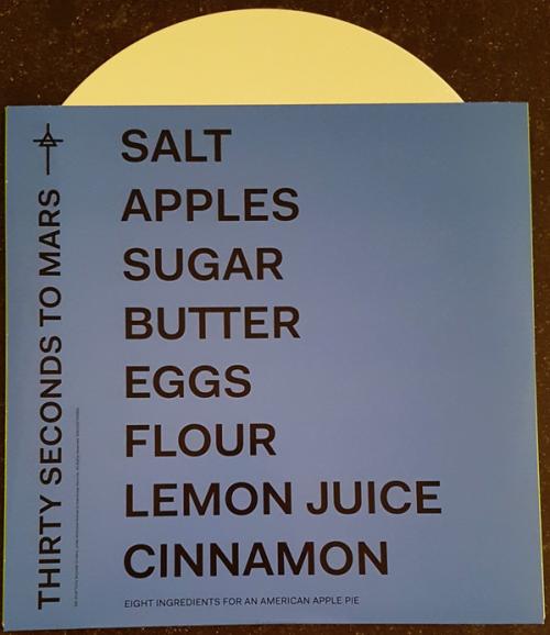 Виниловая пластинка Thirty Seconds To Mars, AMERICA