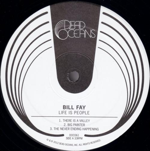 Виниловая пластинка Bill Fay - Life Is People (Black Vinyl 2LP)
