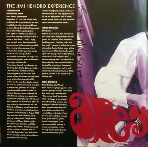 Виниловая пластинка Sony Jimi Hendrix Are You Experienced (180 Gram/Gatefold)