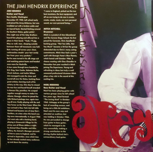 Виниловая пластинка Sony Jimi Hendrix Are You Experienced (180 Gram/Gatefold)