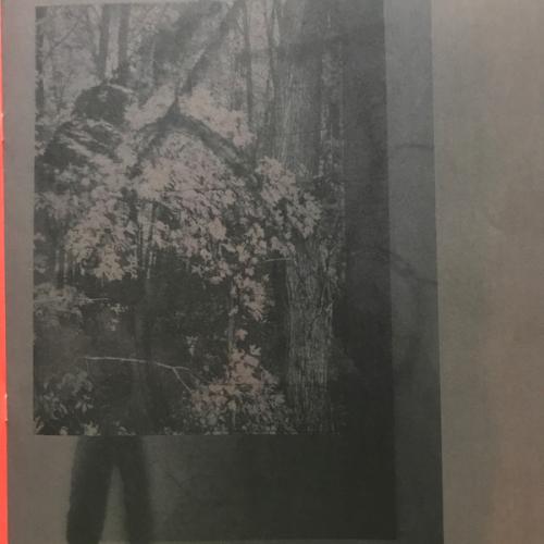 Виниловая пластинка Bon Iver - I,I (Black Vinyl LP)