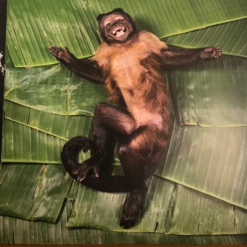 Виниловая пластинка !!! - As If (Black Vinyl 2LP)
