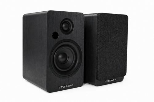 Многофункциональная активная акустическая система PREMIERA RS-301A BK