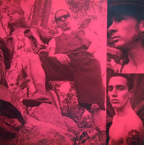 Виниловая пластинка WM Red Hot Chili Peppers Blood Sugar Sex Magik (180 Gram/Remastered)