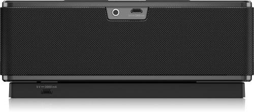 Портативная акустика Tannoy Live Mini