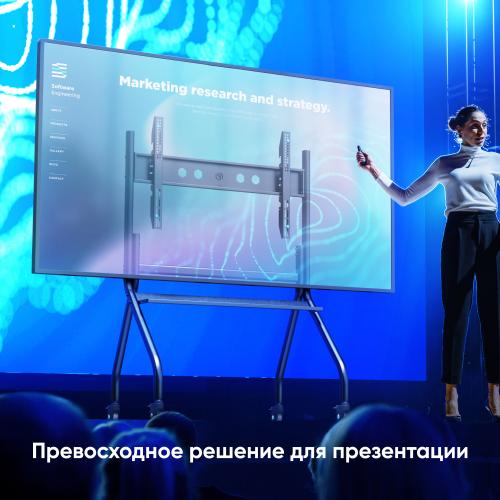 Стойка для телевизора с кронштейном Onkron TS2080-B