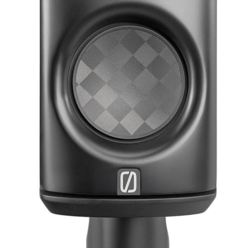 Напольная акустика Borresen C2 Black