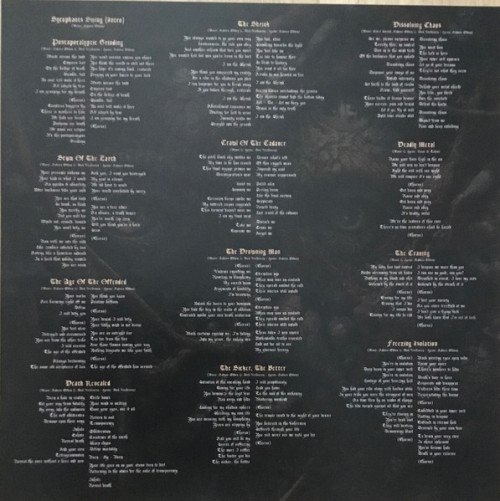 Виниловая пластинка Cadaver - The Age Of The Offended (Coloured Vinyl LP)