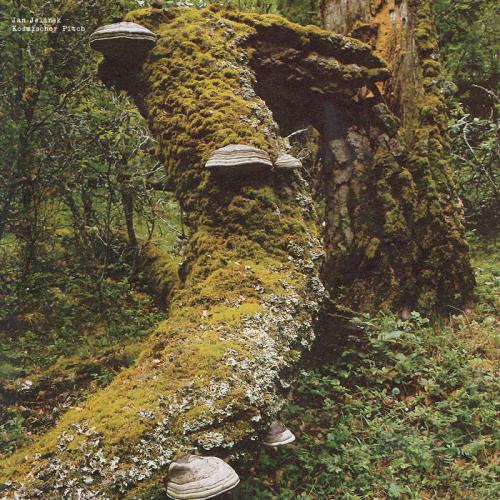 Виниловая пластинка Jan Jelinek - Kosmischer Pitch (Black Vinyl LP)