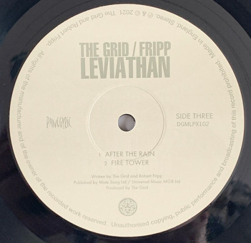 Виниловая пластинка Robert Fripp; The Grid - Leviathan (Black Vinyl 2LP)