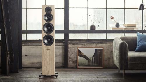 Напольная акустика Dynaudio Evoke 50 Walnut Wood