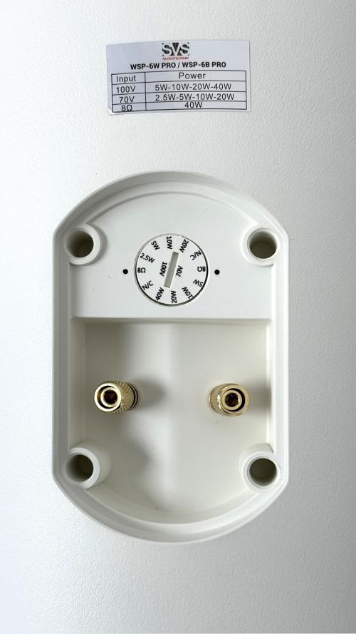 Акустическая система SVS Audiotechnik WSP-6W PRO